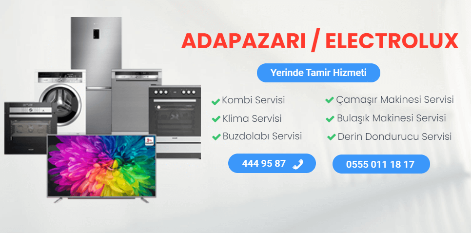 Adapazarı Electrolux Servisi